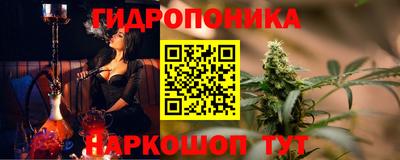 индика Кулебаки