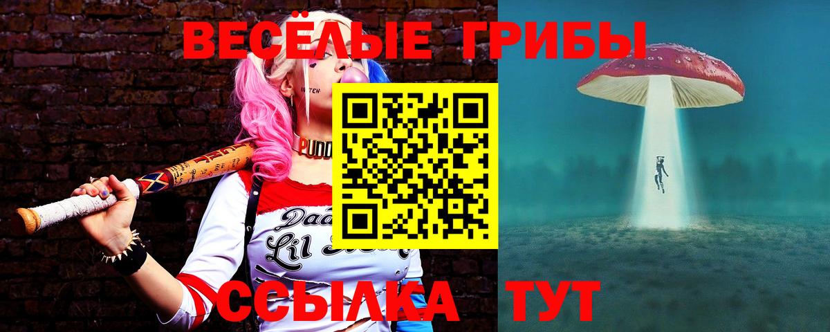 Галлюциногенные грибы мицелий  Галлюциногенные грибы GOLDEN TEACHER  Вход с VPN  Симферополь 